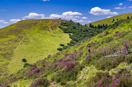Photos du Voyage TABOUREAU : Randonnées et découverte du Puy de dôme / Cantal  ( Du 26 au 29 Août 2026 )
